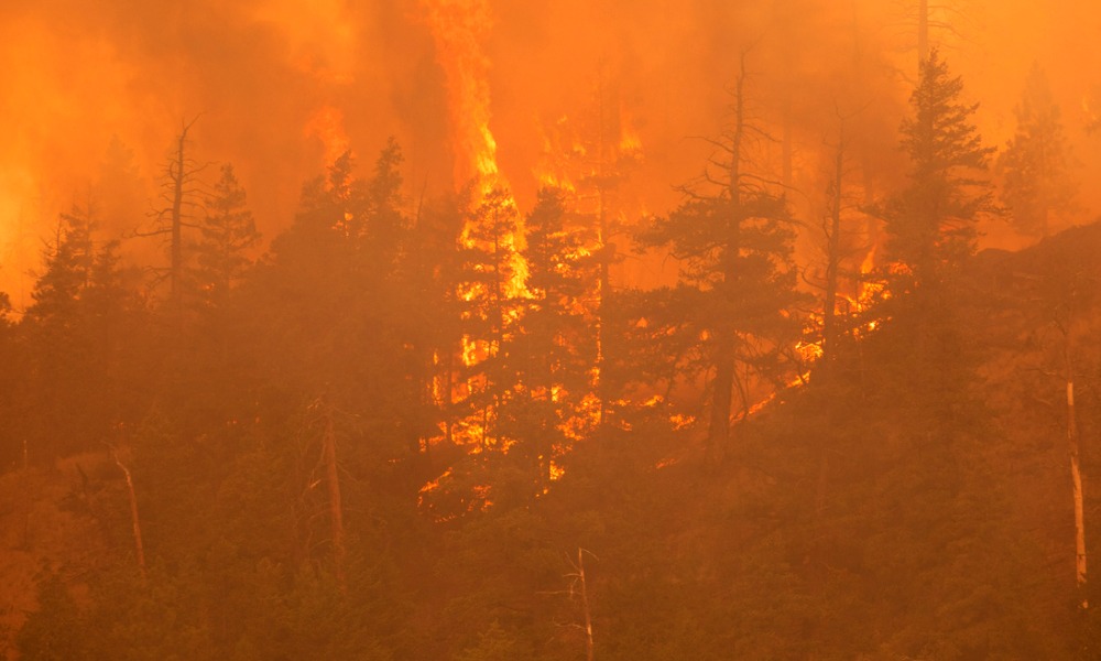 Tech issues impacting response to wildfires in Canada