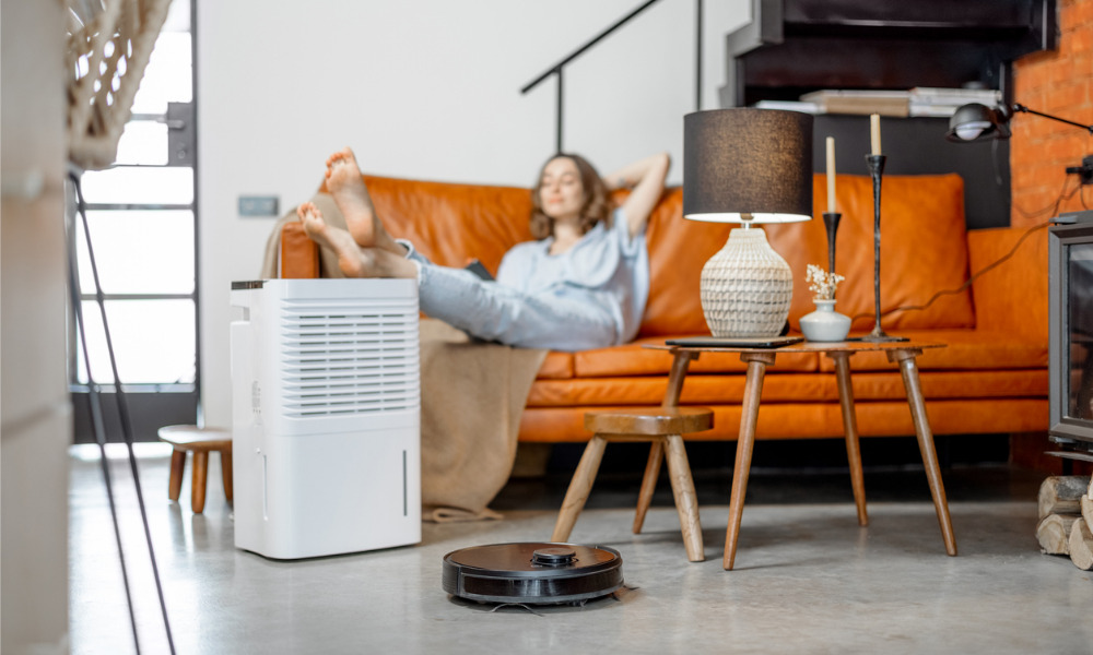 How at-home employees can improve indoor air quality