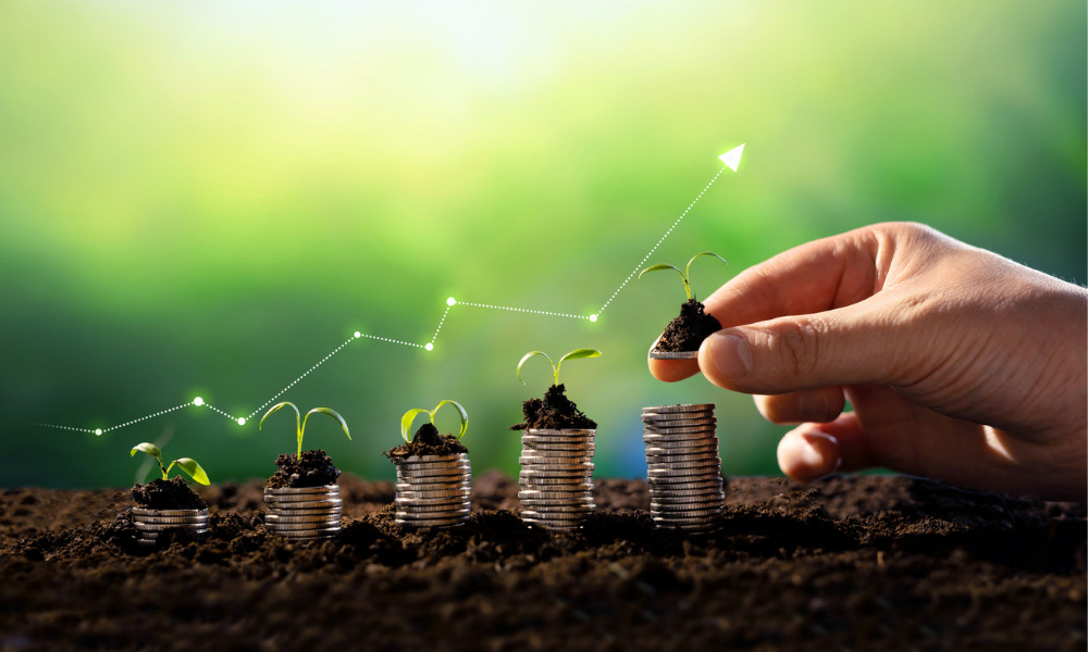 HSF advises tech company on latest seed capital raise - Vimarsana News