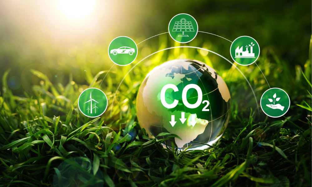 Lander & Rogers announces historic commitment to global net-zero emissions target - Vimarsana News