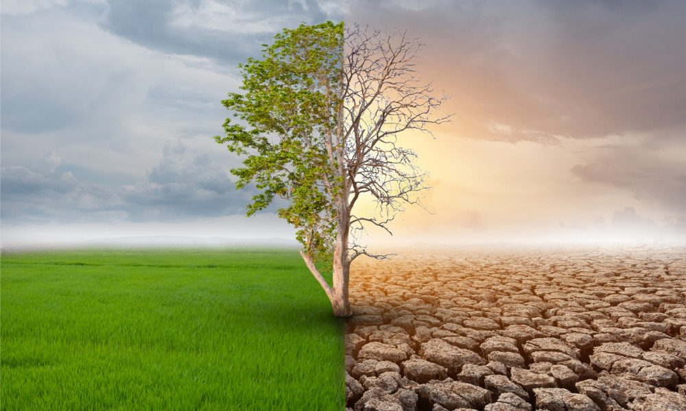 NSW announces landmark climate change bill to establish Net Zero Commission - Vimarsana News