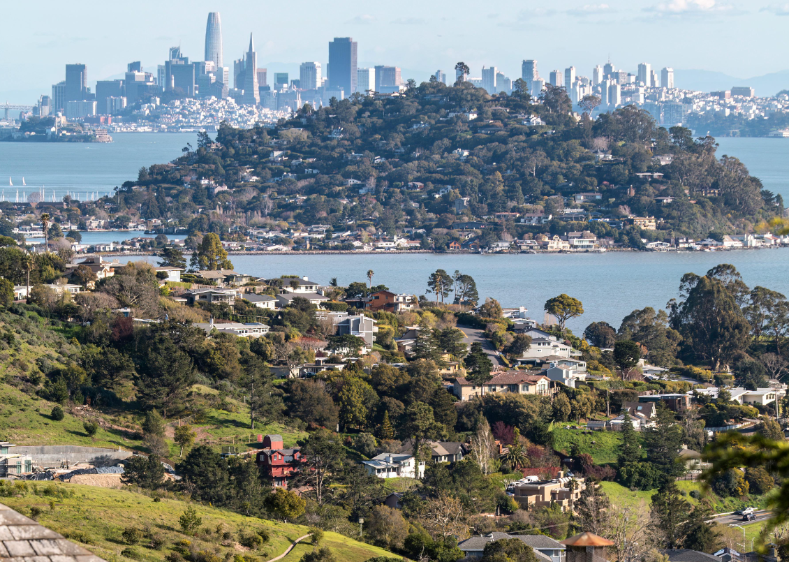 houses in a tree-filled suburb in California with the urban area of San Francisco in the background