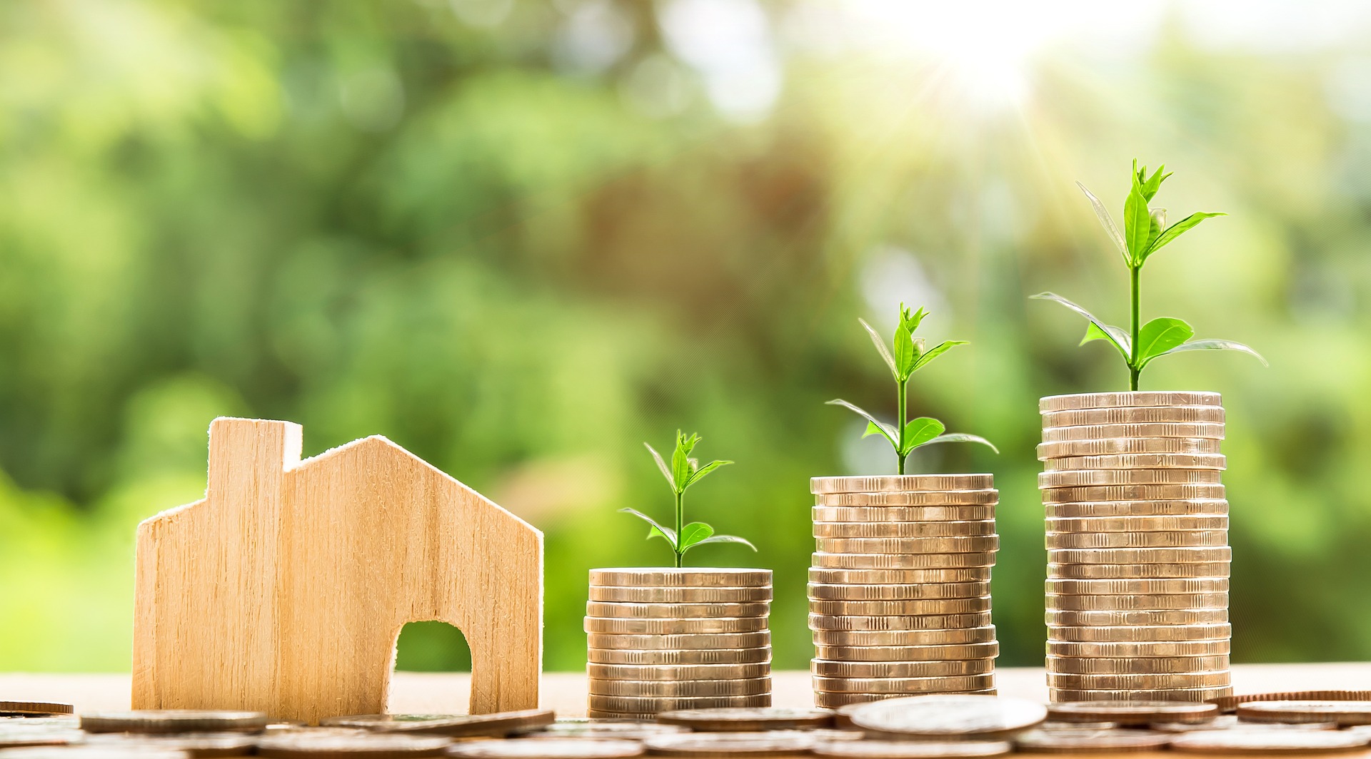 grow the investment of a down payment on a house