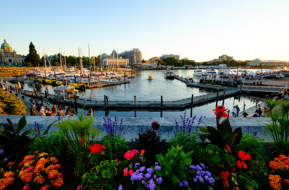 a harbour in Victoria, Canada with colorful flowers and shrubs at the foreground