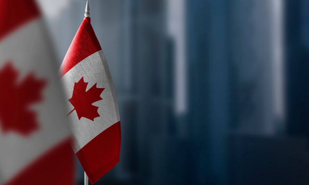Canada-China trade rift widens over canola and steel