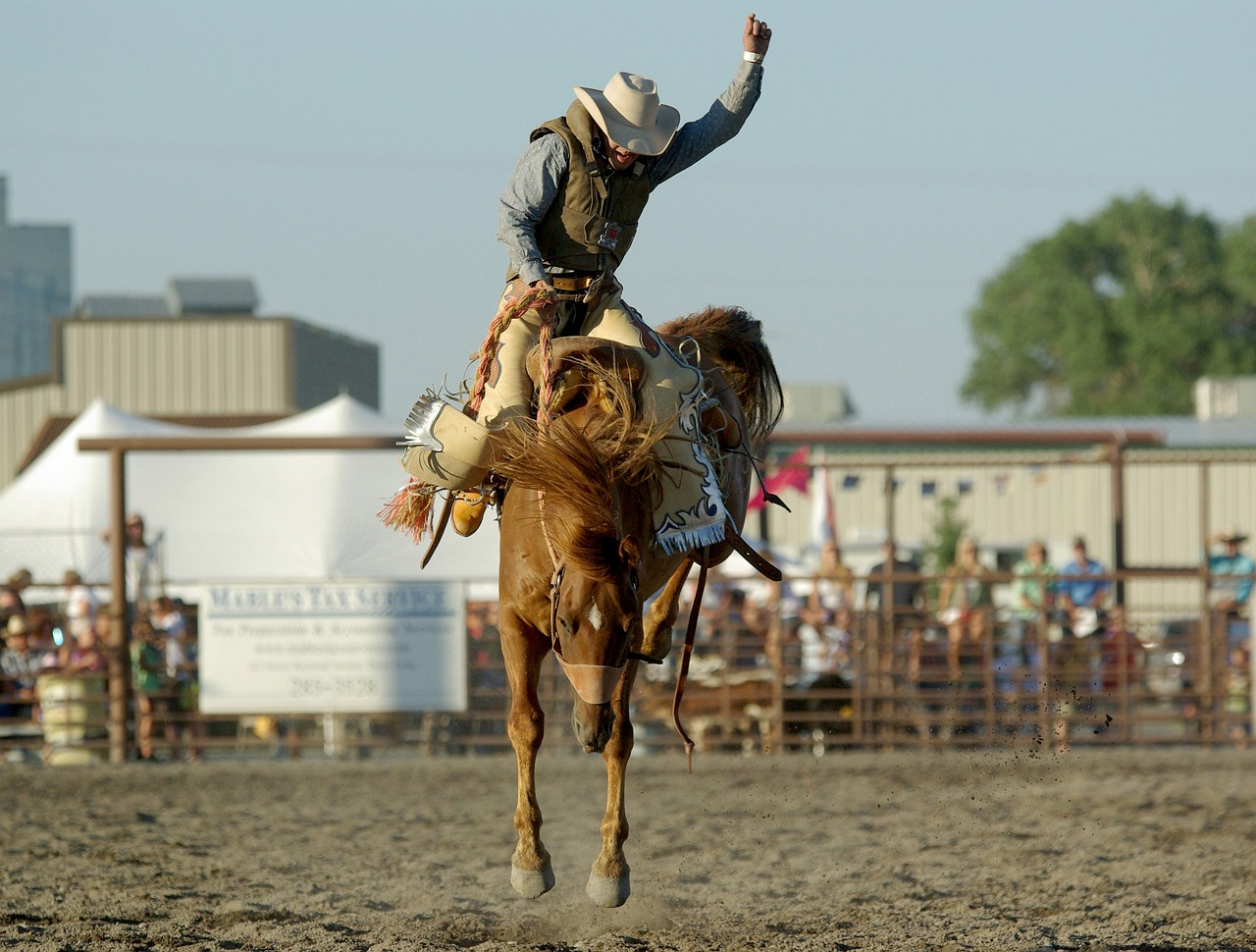a cowboy on horseback at a local rodeo in Australia