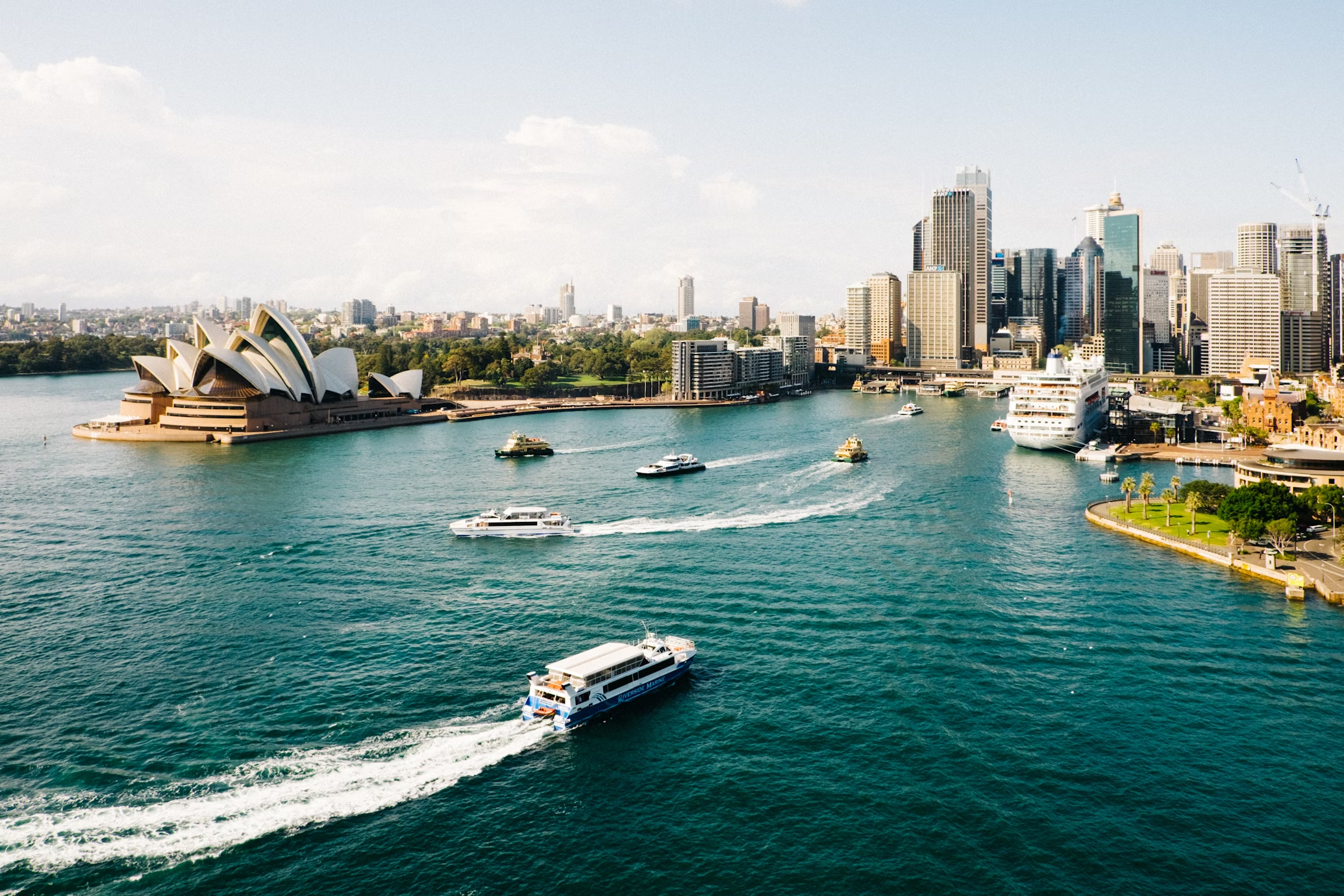  cruise ships on Sydney Harbour with the Sydney Opera House on the far left and the city skyline on the background