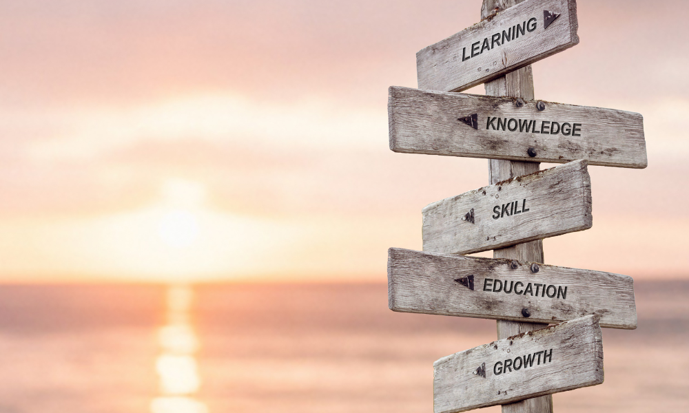Mentoring: the missing link in industry fraud defence