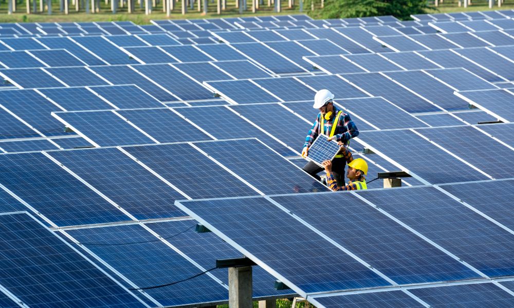 Solar set to power NZ's clean energy future