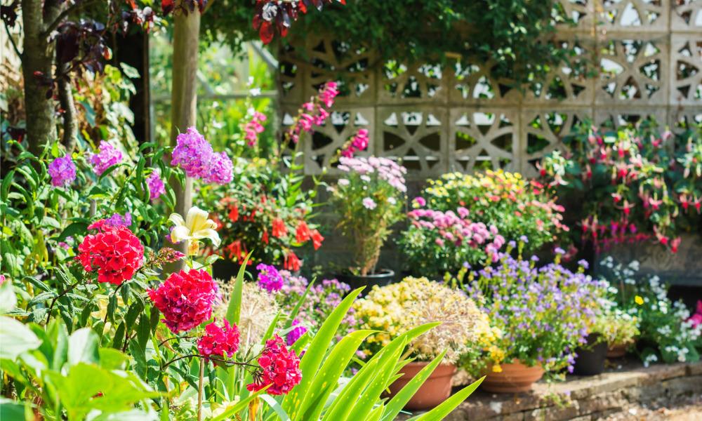 Chelsea Flower Show - House prices boom near garden blooms