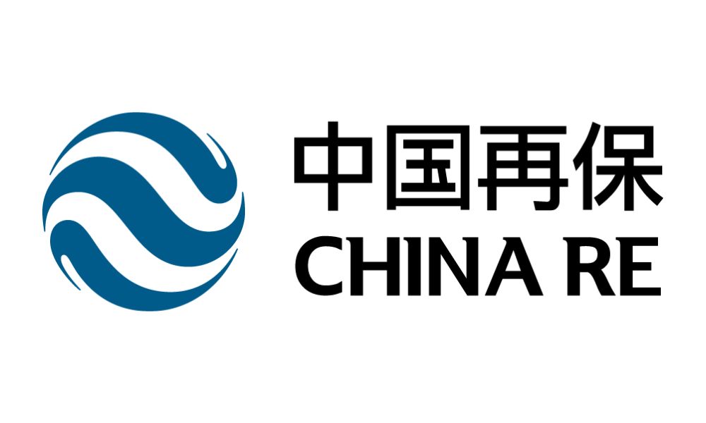 China Re taps Central Huijin executive for board seat | Reinsurance ...