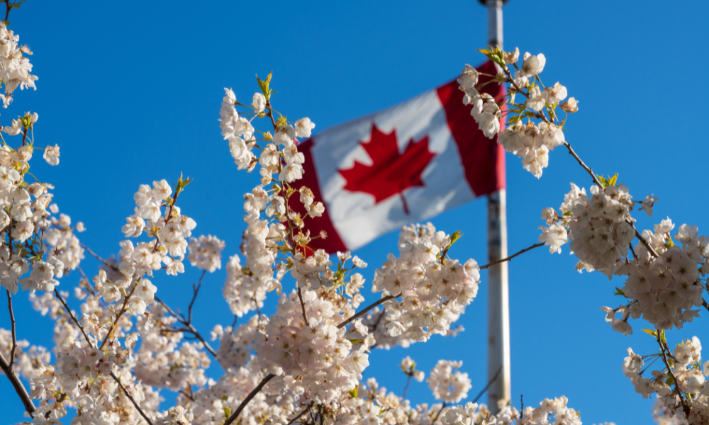 Canadian economy stuck in reverse with GDP down again